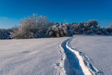 Yukarı Bataklık 'taki Waldburg' da karlı ve güzel bir kış manzarası. Karla kaplı kaleye bakın.