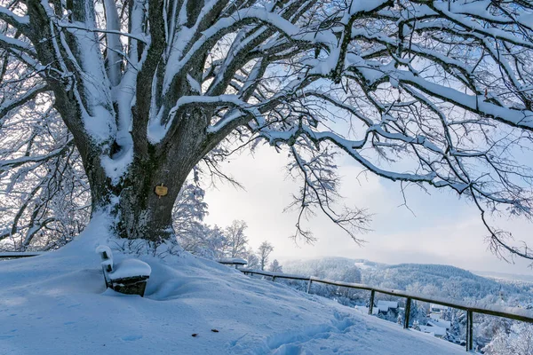 Sneeuwzeker Prachtig Winterlandschap Alttann Opper Zwaben Uitzicht Het Besneeuwde Dorp — Stockfoto