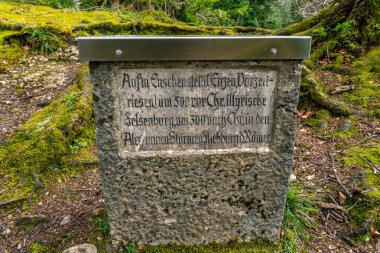 İlkbaharda Weiler im Allgau yakınlarındaki Hausbachklamm 'da büyüleyici bir yürüyüş.