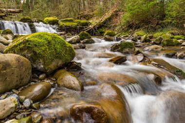 İlkbaharda Weiler im Allgau yakınlarındaki Hausbachklamm 'da büyüleyici bir yürüyüş.