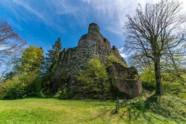 Wiosenna Wycieczka Ruin Zamku Alttrauchburg Nad Sonneckgrat Koło Kleinweiler Allgau Obraz Stockowy