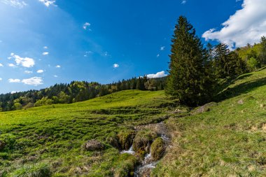Oberstaufen Steibis yakınlarındaki Allgau 'daki Nagelfluhkette' deki Denneberg 'e doğru güzel bir panoramik yürüyüş yolu.