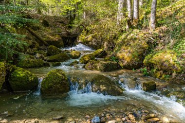 Oberstaufen Steibis yakınlarındaki Allgau 'daki Nagelfluhkette' deki Denneberg 'e doğru güzel bir panoramik yürüyüş yolu.