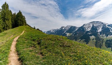 Oberstaufen Steibis yakınlarındaki Allgau 'daki Nagelfluhkette' deki Denneberg 'e doğru güzel bir panoramik yürüyüş yolu.