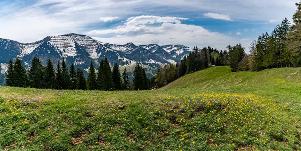 Beautiful Panoramic Circular Hiking Trail Denneberg Nagelfluhkette Allgau Oberstaufen Steibis 로열티 프리 스톡 사진