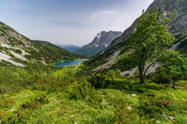 Tiroler Zugspitz Arena 'daki Ehrwald yakınlarındaki Mieminger dağlarında Vorderer Drachenkopf' a dağ turu