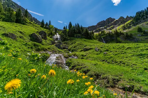 Brunnenauscharte üzerinden Allgau 'daki Nagelfluhkette' de Hochgrat 'a dağ turu.