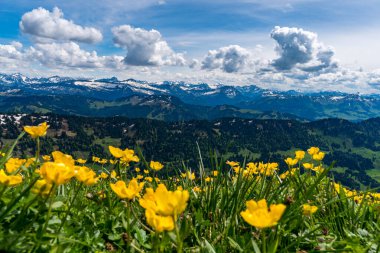 Mountain tour over the Brunnenauscharte to the Hochgrat on the Nagelfluhkette in the Allgau clipart