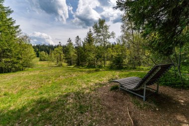 Beautiful high moor family hike in the Wildrosenmoos Westallgau water trail near Oberreute Sulzberg clipart