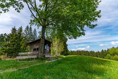 Oberreute Sulzberg yakınlarındaki Wildrosenmoos 'da güzel bir dağ yürüyüşü.