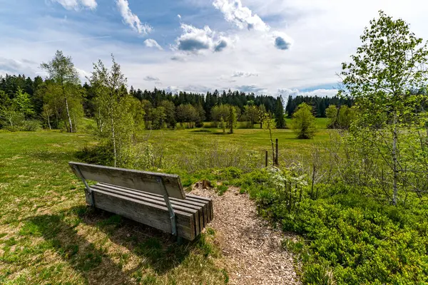 Stock image Beautiful high moor family hike in the Wildrosenmoos Westallgau water trail near Oberreute Sulzberg