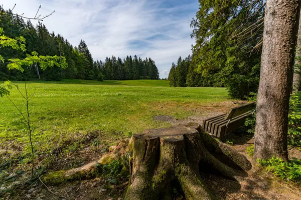 stock image Beautiful high moor family hike in the Wildrosenmoos Westallgau water trail near Oberreute Sulzberg