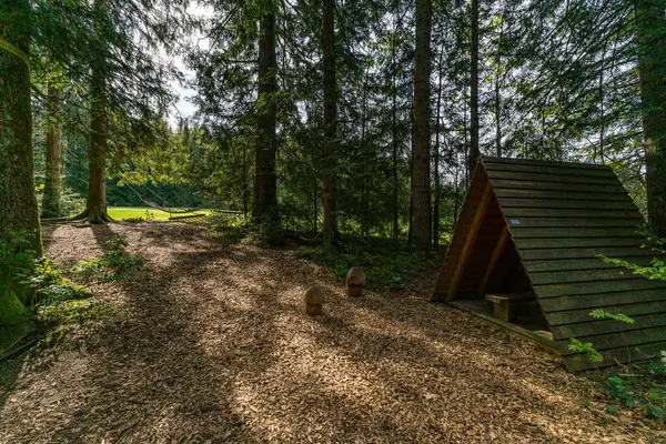 stock image Beautiful high moor family hike in the Wildrosenmoos Westallgau water trail near Oberreute Sulzberg