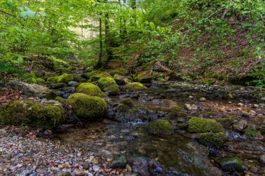 Beautiful hike along the Rottachsee lake with ravine path to the Burgkranzegg ruins in the Allgau region clipart