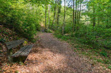 Rottachsee Gölü boyunca Allgau bölgesindeki Burgkranzegg kalıntılarına uzanan vadi yolu ile güzel bir yürüyüş.