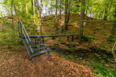 Beautiful hike along the Rottachsee lake with ravine path to the Burgkranzegg ruins in the Allgau region clipart