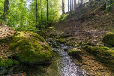 Rottachsee Gölü boyunca Allgau bölgesindeki Burgkranzegg kalıntılarına uzanan vadi yolu ile güzel bir yürüyüş.