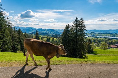 Rottachsee Gölü boyunca Allgau bölgesindeki Burgkranzegg kalıntılarına uzanan vadi yolu ile güzel bir yürüyüş.