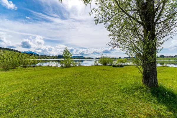 Rottachsee Gölü boyunca Allgau bölgesindeki Burgkranzegg kalıntılarına uzanan vadi yolu ile güzel bir yürüyüş.