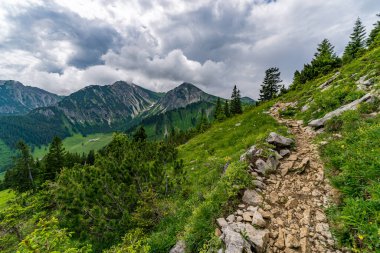 Wannenjochbahn 'dan Tannheimer Tal' daki Kuhgrundkopf 'a kadar Schattwald' da dağ turu.