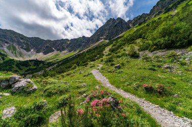 Breitenberg ve Rotspitze zirvesine Hohe Gaenge üzerinden Ferrata üzerinden yapılan güzel bir dağ turu.