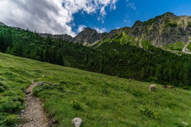 Bad Hindelang Hinterstein yakınlarında dağların ve otlakların bulunduğu Allgau bölgesinin manzarası