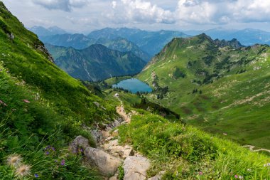 Bereketli yeşillik ve alp gölü ile sakin dağ manzarası
