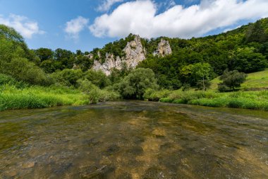 Tuna Nehri 'nin Idyllic Manzarası Swabian Alpleri' nin yemyeşil sularında akıyor.