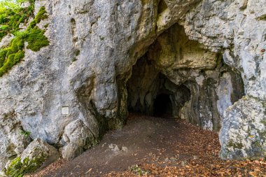 Donautal Bölgedeki Gizemli Mağara Girişi Macera Avcıları ve Doğa Aşıkları İçin Mükemmel