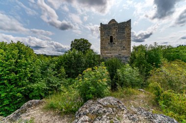 Historic medieval tower surrounded by lush foliage in the scenic Donau Valley landscape clipart