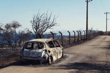 İzmir, Türkiye - 23 Temmuz 2022: Burnt car 'ın arka görüntüsü Derya Site Seferihisar İzmir' deki orman yangınından sonra.