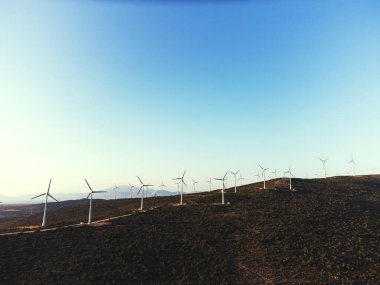 Üzücü bir şekilde yanmış ağaçlarla dolu mavi gökyüzündeki yel değirmenleri.