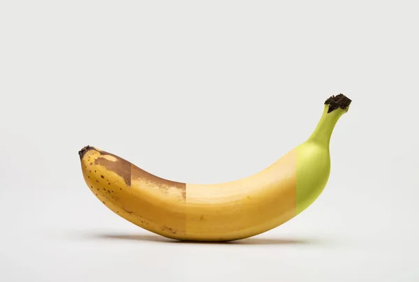 Ωρίμανση Στάδια Μιας Μπανάνας Λευκό Φόντο Απαλή Σκιά — Φωτογραφία Αρχείου