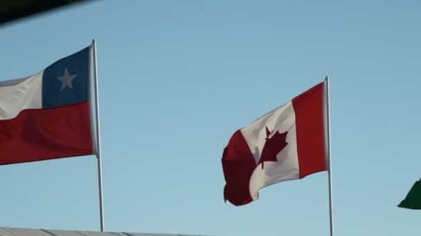 Прапори Канади Чилі Махають Блакитним Небом Повільному Русі — стокове відео