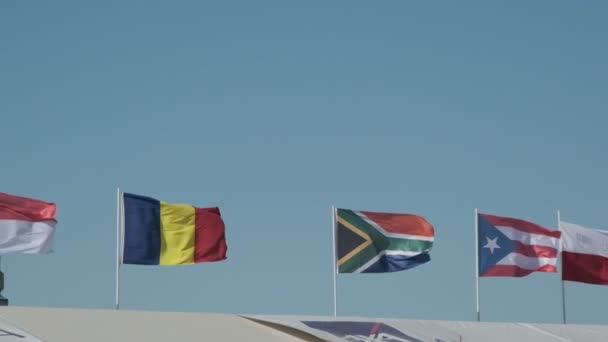 Romania South Africa Puerto Rico Monaco Flags Waving Slow Motion — Stock Video