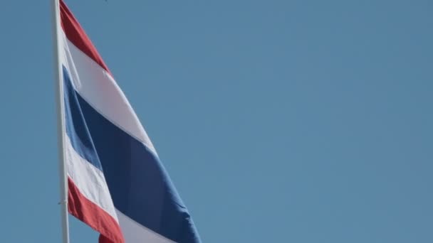 Mavi Bir Arkaplanda Tayland Bayrağı Sallarken Yavaş Çekim Görüntüleri — Stok video
