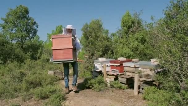 Een Imker Draagt Bijenboxen Natuur — Stockvideo