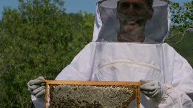 Arıcı bal peteği çerçevesi ve arılarla poz veriyor..