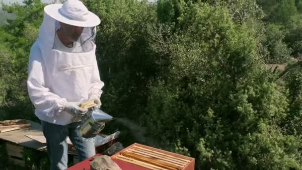 Beekeeper Using Bee Bellows — Stock Video
