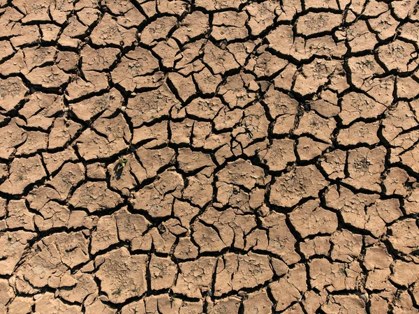 Primer Plano Sequía Suelo Seco Fotografiado Desde Vista Superior — Foto de Stock