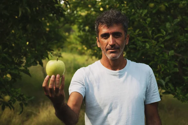 Elinde Bir Elma Tutan Bir Elma Bahçesinde Poz Veren Bir — Stok fotoğraf