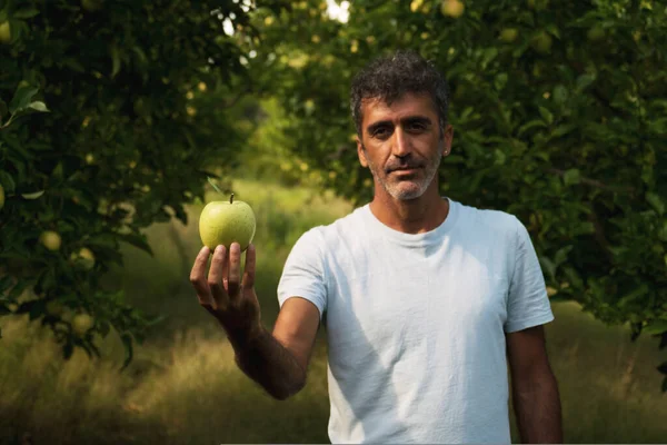 Portrait of a middle eastern holding an apple in his hand and posing in an apple orchard