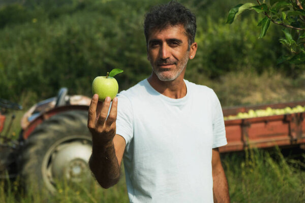 Portrait of a middle eastern holding an apple in his hand and posing in an apple orchard with a tractor on the background.