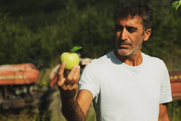 Portrait of a middle eastern holding an apple in his hand and posing in an apple orchard with a tractor on the background.
