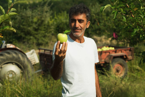 Portrait of a middle eastern holding an apple in his hand and posing in an apple orchard with a tractor on the background.