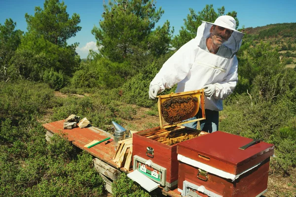Portrait Turkish Beekeeper Posing Frame Honeycomb Suit — Stock Photo, Image