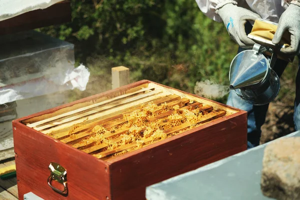 Μελισσοκόμος Που Χρησιμοποιεί Τις Φυσητήρες Μελισσών Στο Κουτί Μελισσών — Φωτογραφία Αρχείου