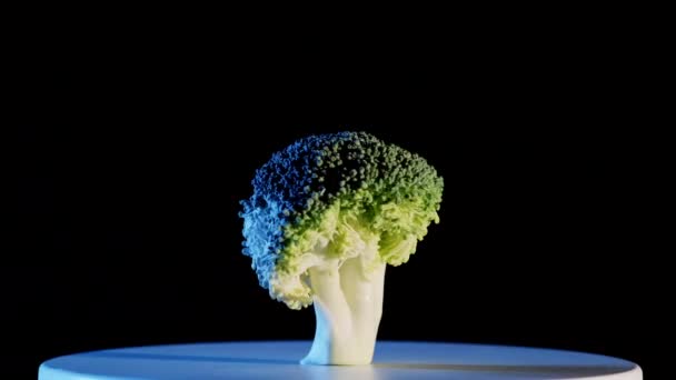 Zavřít Záběry Rotující Brokolice Černém Pozadí — Stock video