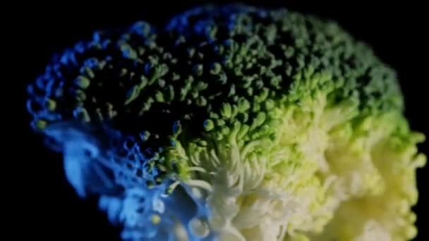 Imágenes Cerca Brócoli Giratorio Sobre Fondo Negro — Vídeo de stock