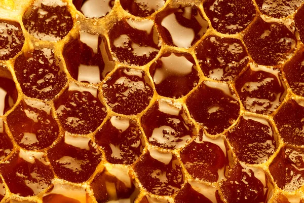 Close Shot Honeycomb Background Texture — Stock Photo, Image